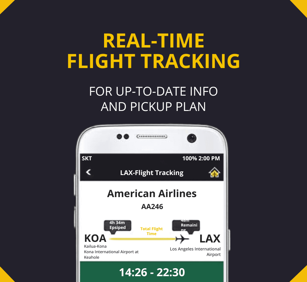 Live Flight Tracking